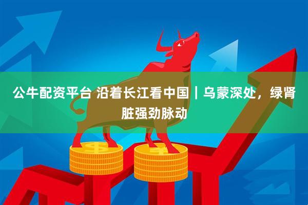 公牛配资平台 沿着长江看中国｜乌蒙深处，绿肾脏强劲脉动